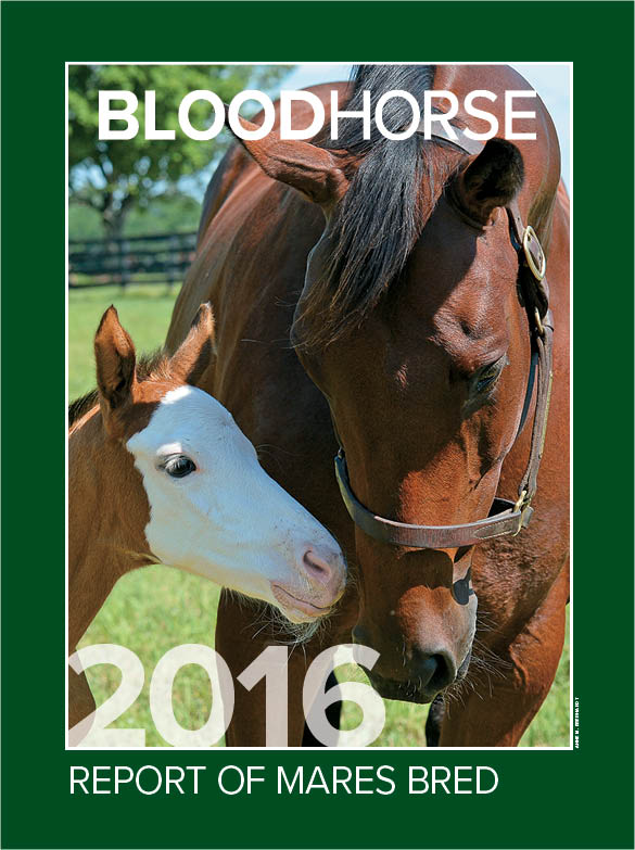 2016 Report of Thoroughbred Mares Bred
