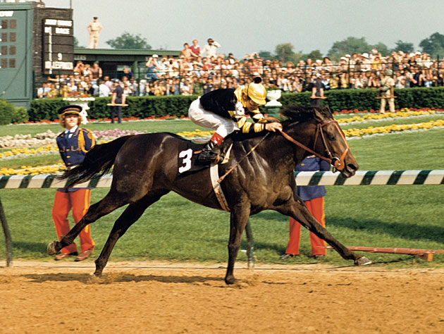 Seattle Slew