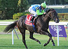Snow Top Mountain Eyes First Stakes Victory