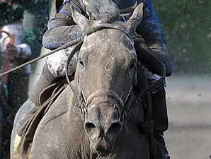 Dunkirk Works at Palm Meadows Dunkirk Works at Palm Meadows