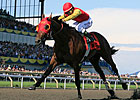Autumn No Easy Task for Queen's Plate Winner Autumn No Easy Task for Queen's Plate Winner