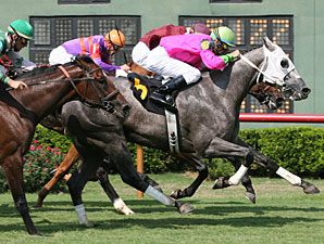 OBS Day of Champions To Be Held Feb. 15 OBS Day of Champions To Be Held Feb. 15