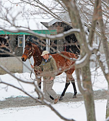 Keeneland January Gross Surpasses 2010 Total Keeneland January Gross Surpasses 2010 Total