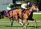 Three Grade I Winners Line Up for McKnight Three Grade I Winners Line Up for McKnight