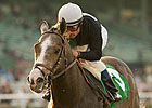 The Pamplemousse On Outside in SA Derby The Pamplemousse On Outside in SA Derby