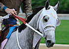 Beyond the Blinkers: Last Minute Oaks Picks