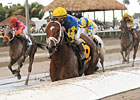 Slideshow: The Week In Photos - Jan 30, 2012