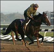 Steve Haskin's Classic Report -- Oct. 22 Steve Haskin's Classic Report -- Oct. 22