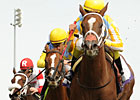 Slideshow: The Week In Photos - Sept 19, 2011 Slideshow: The Week In Photos - Sept 19, 2011
