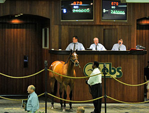 Mizzen Mast Offspring Shine at Solid OBS Sale Mizzen Mast Offspring Shine at Solid OBS Sale