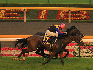 Japanese Oaks Ends in a Dead Heat Japanese Oaks Ends in a Dead Heat