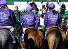 Slideshow: The Sights of Breeders' Cup 2011