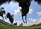 Mayberger Garners Photography Eclipse Award
