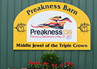 Slideshow: 2011 Preakness Stakes