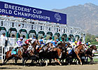 $144.3 Million Wagered on Breeders' Cup Races $144.3 Million Wagered on Breeders' Cup Races