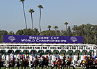 Breeders' Cup Drug Samples All Clear Breeders' Cup Drug Samples All Clear