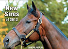 Slideshow: New Sires of 2012