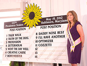 Bodemeister (8-5) Draws Post 7 for Preakness Bodemeister (8-5) Draws Post 7 for Preakness