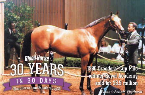 30 Years in 30 Days: Winners by Auction Price 30 Years in 30 Days: Winners by Auction Price
