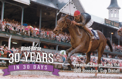 30 Years in 30 Days: Personal Ensign Distaff 30 Years in 30 Days: Personal Ensign Distaff