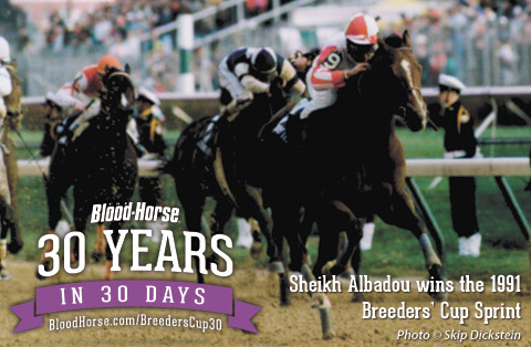 30 Years in 30 Days: Sheikh Albadou's Sprint 30 Years in 30 Days: Sheikh Albadou's Sprint