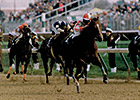 30 Years in 30 Days: Sheikh Albadou's Sprint 30 Years in 30 Days: Sheikh Albadou's Sprint