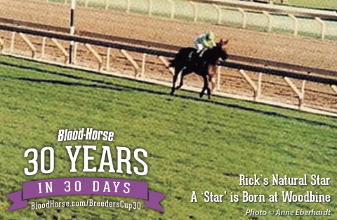 30 Years in 30 Days: A 'Star' is Born, 1996 30 Years in 30 Days: A 'Star' is Born, 1996