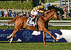 30 Years in 30 Days: Wise Dan's Mile, 2012 30 Years in 30 Days: Wise Dan's Mile, 2012