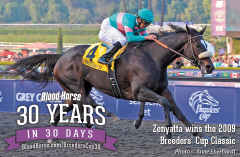 30 in 30: Zenyatta Was Poetry in Motion 30 in 30: Zenyatta Was Poetry in Motion