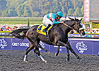 30 in 30: Zenyatta Was Poetry in Motion 30 in 30: Zenyatta Was Poetry in Motion
