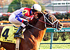 A.P. Arrow Shoots Straight in Clark