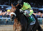 A Little Warm Out of Keeneland January Sale