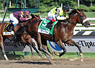 A Little Warm Injured; Likely to be Retired A Little Warm Injured; Likely to be Retired