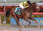 A Little Warm Rallies For Spectacular Bid Win A Little Warm Rallies For Spectacular Bid Win