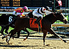 Amazombie Set to Go if Weather Cooperates Amazombie Set to Go if Weather Cooperates