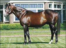 Lane's End Stallions' Offspring One, Two, Three, Five in Belmont Lane's End Stallions' Offspring One, Two, Three, Five in Belmont