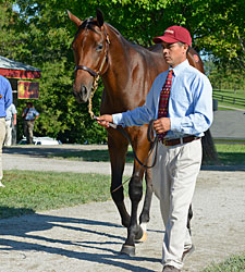 Sept. Stars: These Select Horses Could Shine Sept. Stars: These Select Horses Could Shine