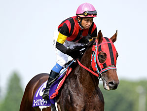 New York-Bred A Shin Forward Wins Japan Mile New York-Bred A Shin Forward Wins Japan Mile