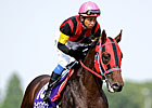 New York-Bred A Shin Forward Wins Japan Mile New York-Bred A Shin Forward Wins Japan Mile