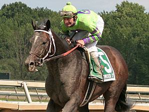 A. U. Miner to Enter Stud in Indiana A. U. Miner to Enter Stud in Indiana