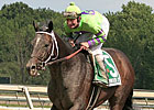 A. U. Miner to Enter Stud in Indiana A. U. Miner to Enter Stud in Indiana
