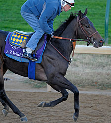Strong Bernardini Contingent in Breeders' Cup Strong Bernardini Contingent in Breeders' Cup