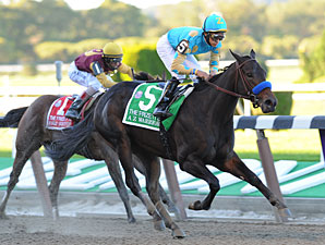 It's All A.P. Indy in Freshman Sire Race It's All A.P. Indy in Freshman Sire Race