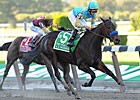 It's All A.P. Indy in Freshman Sire Race