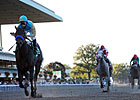 Featured Horse Profile: A Z Warrior