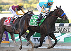 A Z Warrior 7-2 ML Choice in Juvenile Fillies A Z Warrior 7-2 ML Choice in Juvenile Fillies