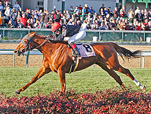 Abaco Makes the Grade in Cardinal 'Cap Abaco Makes the Grade in Cardinal 'Cap