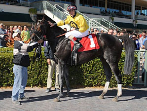Abigail Fuller Wins First Race at Gulfstream Abigail Fuller Wins First Race at Gulfstream