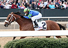 Absinthe Minded, Joyful Victory Meet in Azeri