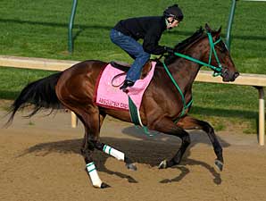 Daily Oaks Notes: April 28 Daily Oaks Notes: April 28